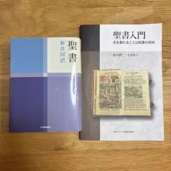 Item thumbnail for item 8700ea85-796f-4b66-ad18-ae52c7862aa5