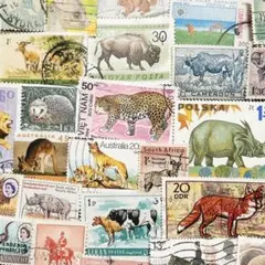 まさるさん様 リクエスト 3点 まとめ商品