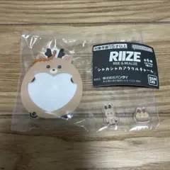 【値下中】RIIZE シャカシャカアクリルチャーム ガチャガチャ ソンチャン