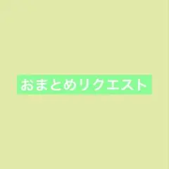 たぬき様 リクエスト 10点 まとめ商品