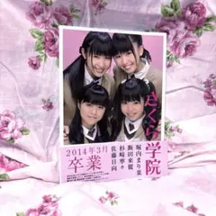 2026年最新】さくら学院卒業の人気アイテム - メルカリ