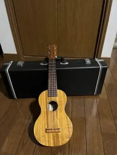 Item thumbnail for item 9751ca7e-6b57-4751-83b7-db67c648f188