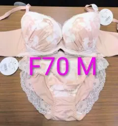 ブラジャーショーツ F70 M ベージュ