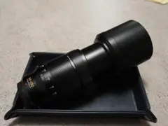 Item thumbnail for item 45e21bf4-ec3f-4865-bf9b-0229e012f9f9