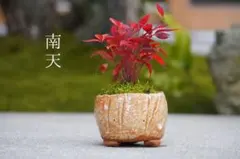 【ゆうゆうメルカリ便】mocoalo*様 リクエスト 4点 まとめ商品