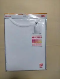 Item thumbnail for item 3806631b-0383-4078-a004-cbea84e2574d