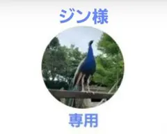 ジン様専用　子供券１枚追加