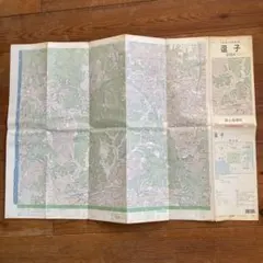 Item thumbnail for item d2492541-5a9b-4eee-8a1b-4012302cf4cb