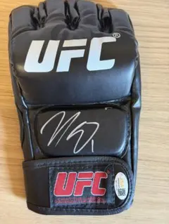 UFC 公式グローブ サイン入り シウバ ハント - メルカリ