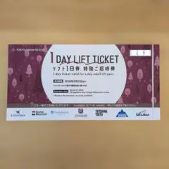 東急スノーリゾート TOKYU SNOW RESORT 1日リフト券 ニセコ