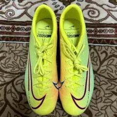 Item thumbnail for item a31ff48e-cd6a-41b9-a140-9a52a41862b5