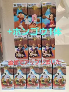 ワンピース ワールドコレクタブルフィギュア 宴1 フィギュア11体&ホンゴウ1体のサムネイル