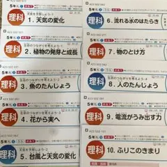 国語 α 後期 5年 カラーテスト 新学社 『未使用』 2025年最新】国語 光村 5年 カラーテスト 新学社の人気アイテム