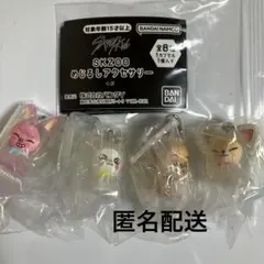 スキズ　SKZOO めじるしアクセサリー　4点