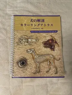 犬の外科解剖 カラーアトラス 犬の解剖カラ－リングアトラス / 日本獣医解剖学会 - 紀伊國屋