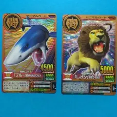 アニマルカイザー　アニマルカード ホホジロザメ　ライオン