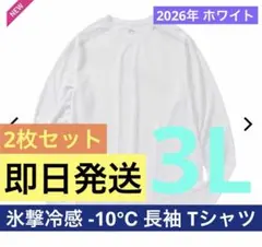 ワークマン 氷撃冷感 -10℃ 長袖 Tシャツ 新品未使用 ホワイト 2枚