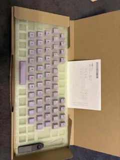 REA即購入⭕️¦LFORCE RC1 キーキャップ キー スモーキーライラック