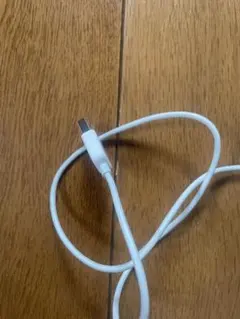 Apple 有線マウス A1152 動作確認OK