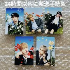 TXT セツナハナビ ソロジャケット盤 花 ver. トレカ 全員 コンプ