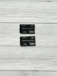 SONY Memory Stick PRO Duo 2GB 2枚セット