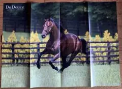 Item thumbnail for item c7938e52-1ae5-4769-8b49-13f5cf220714