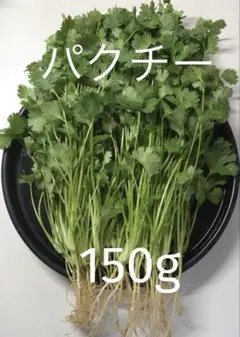 パクチー 香菜 コリアンダー 200g - メルカリ