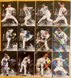 Item thumbnail for item 2f55c103-3bcd-42cc-8a7d-ec75b455bbaf