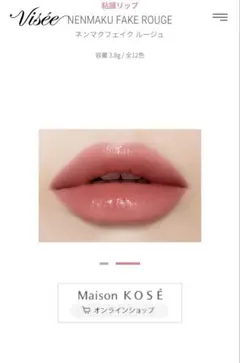 ヴィセ ネンマクフェイクルージュ PK850