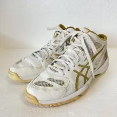 ASICS バスケットボールシューズ GELHOOP ホワイトゴールド 25cm