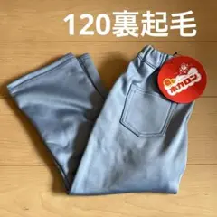 裏起毛 100cm