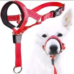 犬用トレーニング　ヘッドハーネスのサムネイル