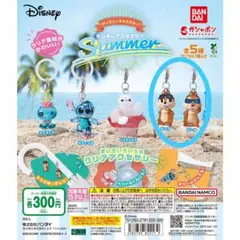 チップ デール ディズニーキャラクター めじるしアクセサリー SUMMER