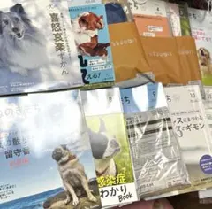 いぬのきもち　2024年　1年分　まとめ売り　12冊 2025年最新】いぬのきもち12冊の人気アイテム - メルカリ
