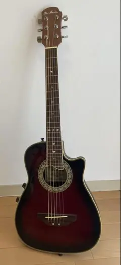 2026年最新】PRO MARTIN アコギの人気アイテム - メルカリ