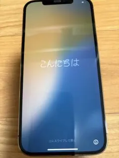 Thanhhue様専用‼️ 美品‼️Apple iPhone 12 Pro max