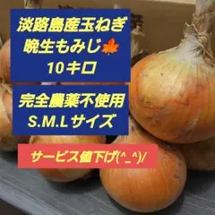 淡路島産玉ねぎ晩生もみじ10キロのサムネイル