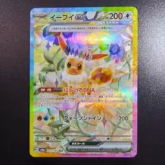 ポケモンカード　イーブイ　スリーブ&ケースセット 新品未開封】ポケモンスリープ イーブイ カードケース - メルカリ