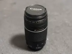 2026年最新】Canon LENS EF 75-300mm 1:4-5.6の人気アイテム - メルカリ