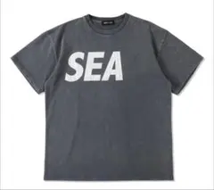 WIND AND SEA　ウィンダンシー Tee　Sサイズ【本日限定価格】のサムネイル