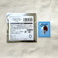 ヒロアカ　切手風アクリルステッカー　轟焦凍　PIGG PARTYコラボ