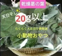 Item thumbnail for item c9fe967c-ce53-4bd4-be81-044dbb27d1b2