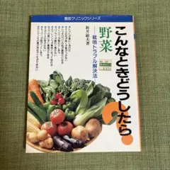 Item thumbnail for item 68f08771-52d0-4205-a420-e40642c739ce