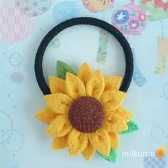 リピ様♥ひなた様専用♡レジンヘアゴム めじるしアクセサリー - メルカリ