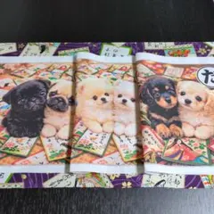 ①未使用　可愛いワンちゃんパネル生地3枚＆桜ゴールド箔入り.百人一首柄生地です。