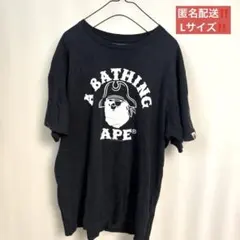 Item thumbnail for item 73396daf-cb4f-4048-91aa-220aa567b82a