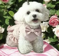 Item thumbnail for item cd7b4713-8796-4e1d-b710-61c381bbc397