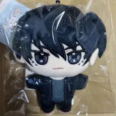 ニトロキラル スロウダメージ キラメモ ぬいパル ぬいぐるみマスコット