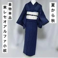 東レ　セオアルファ　夏着物　紗紬風　江戸小紋　洗える夏着物　着物単品のサムネイル