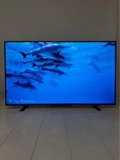 全国送料込❣️マクスゼン50V型4Kテレビ地デジBSCSチューナー内蔵外付